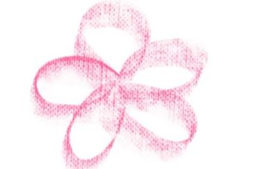 Ausbildung zum ganzheitlichen HSP-Coach Logo Hochsensibelsein Dr. phil. Anne-Barbara Kern